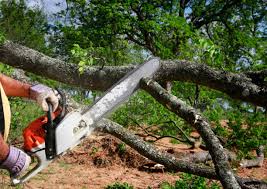 Reliable Union Beach, NJ Tree Removal and Landscaping Services Solutions